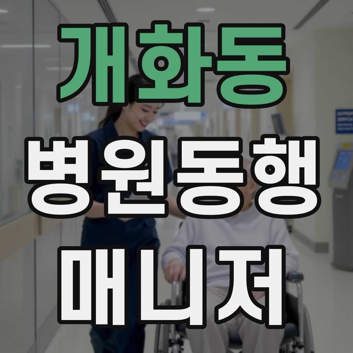 개화동 병원동행매니저 자격증