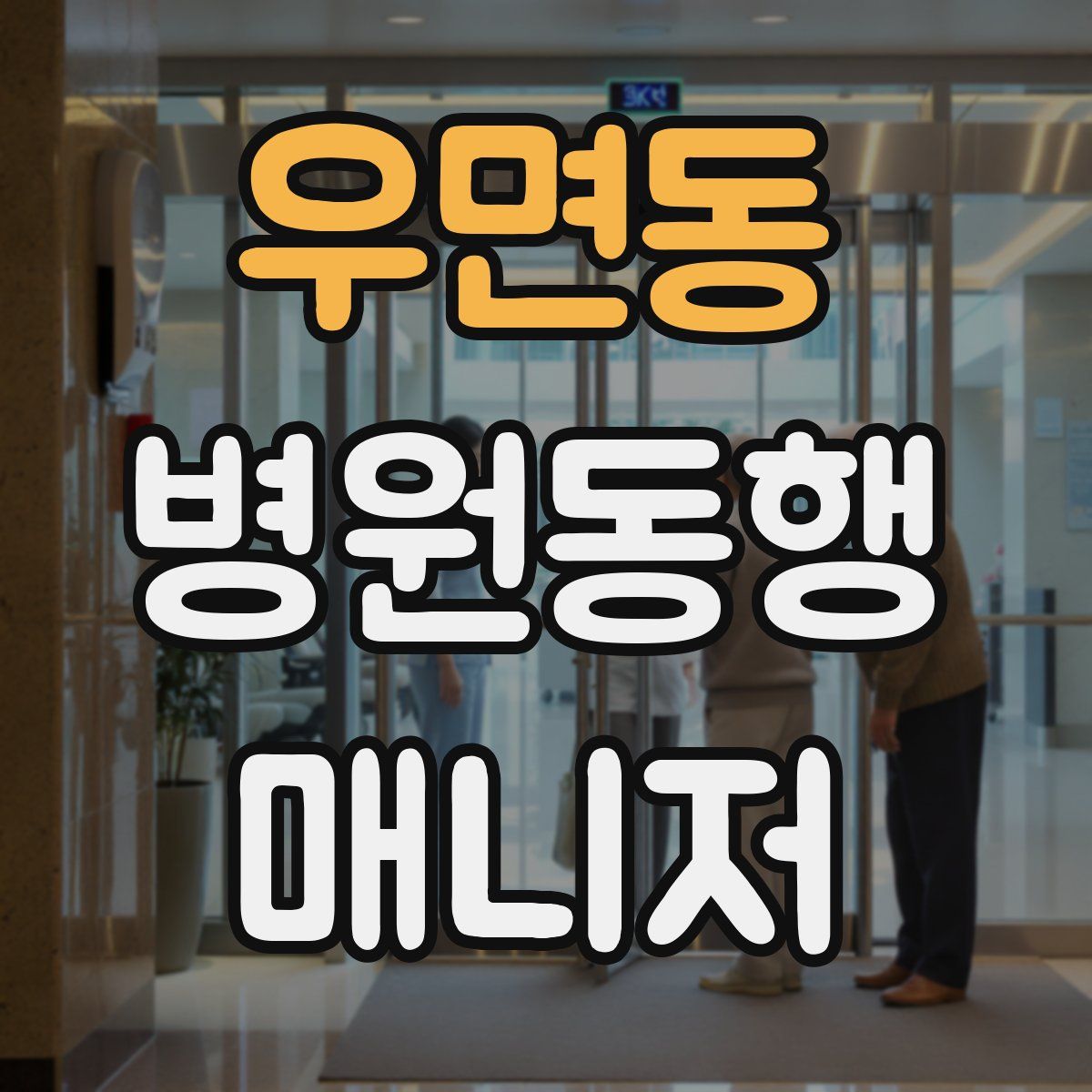 우면동 병원동행매니저 자격증