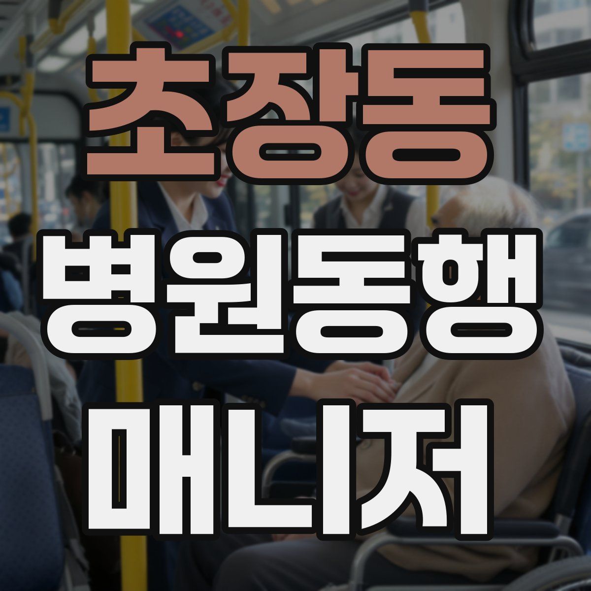 초장동 병원동행매니저 자격증