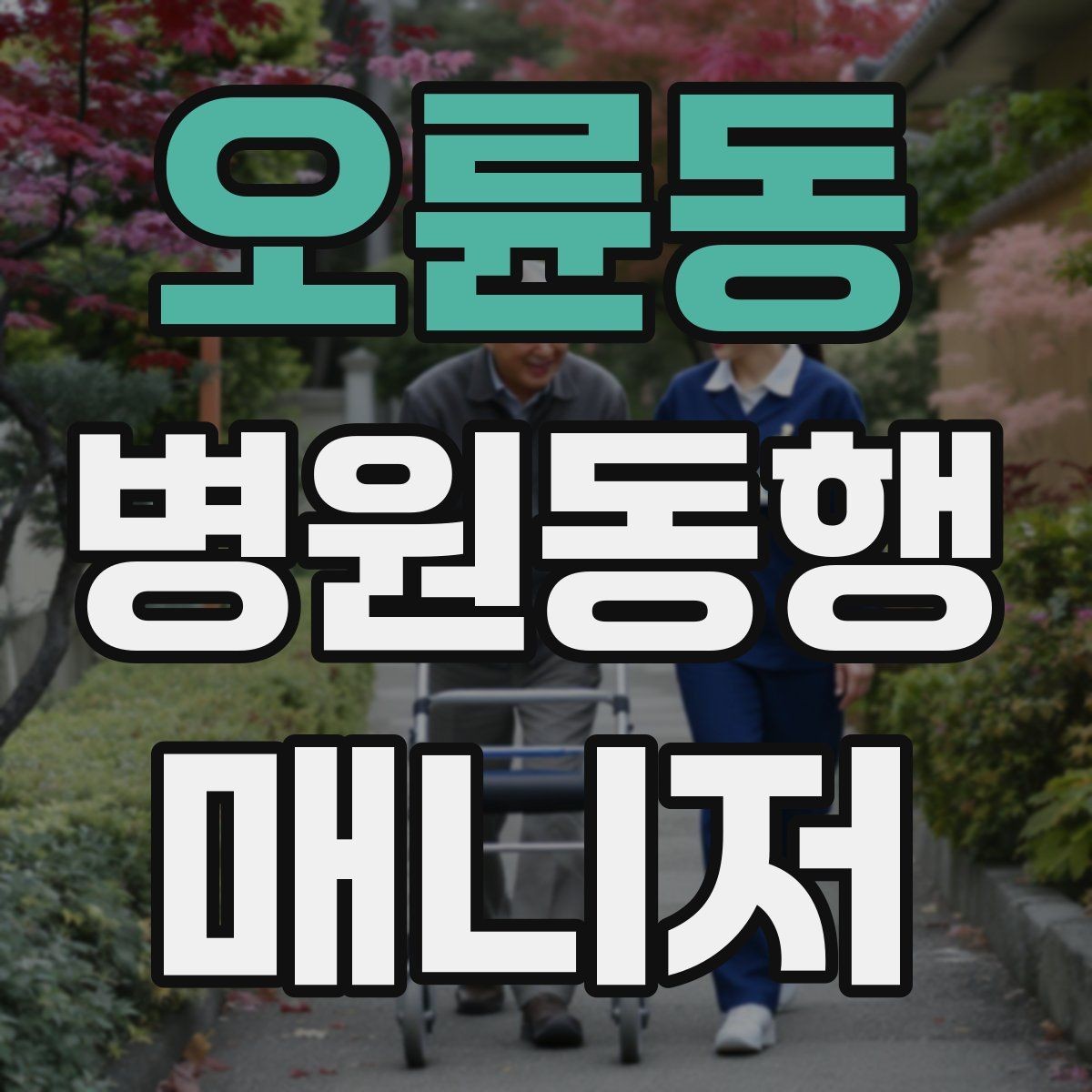 오륜동 병원동행매니저 자격증 폭염·한파에 어르신 동행 시 주의