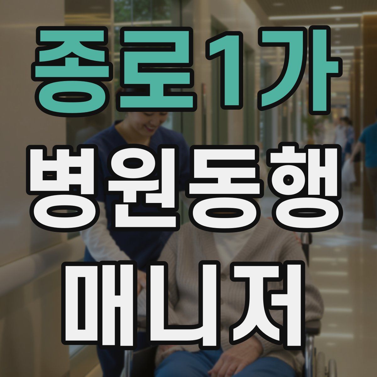종로1가 병원동행매니저 자격증