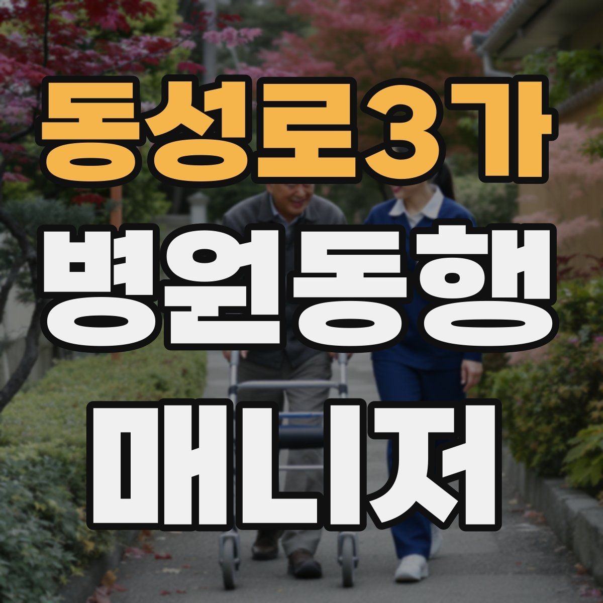 동성로3가 병원동행매니저 자격증 병원 동행 서비스가 필요한 순간들 정리