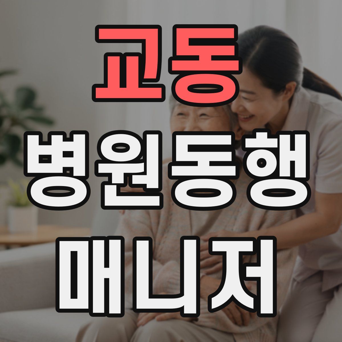 교동 병원동행매니저 자격증