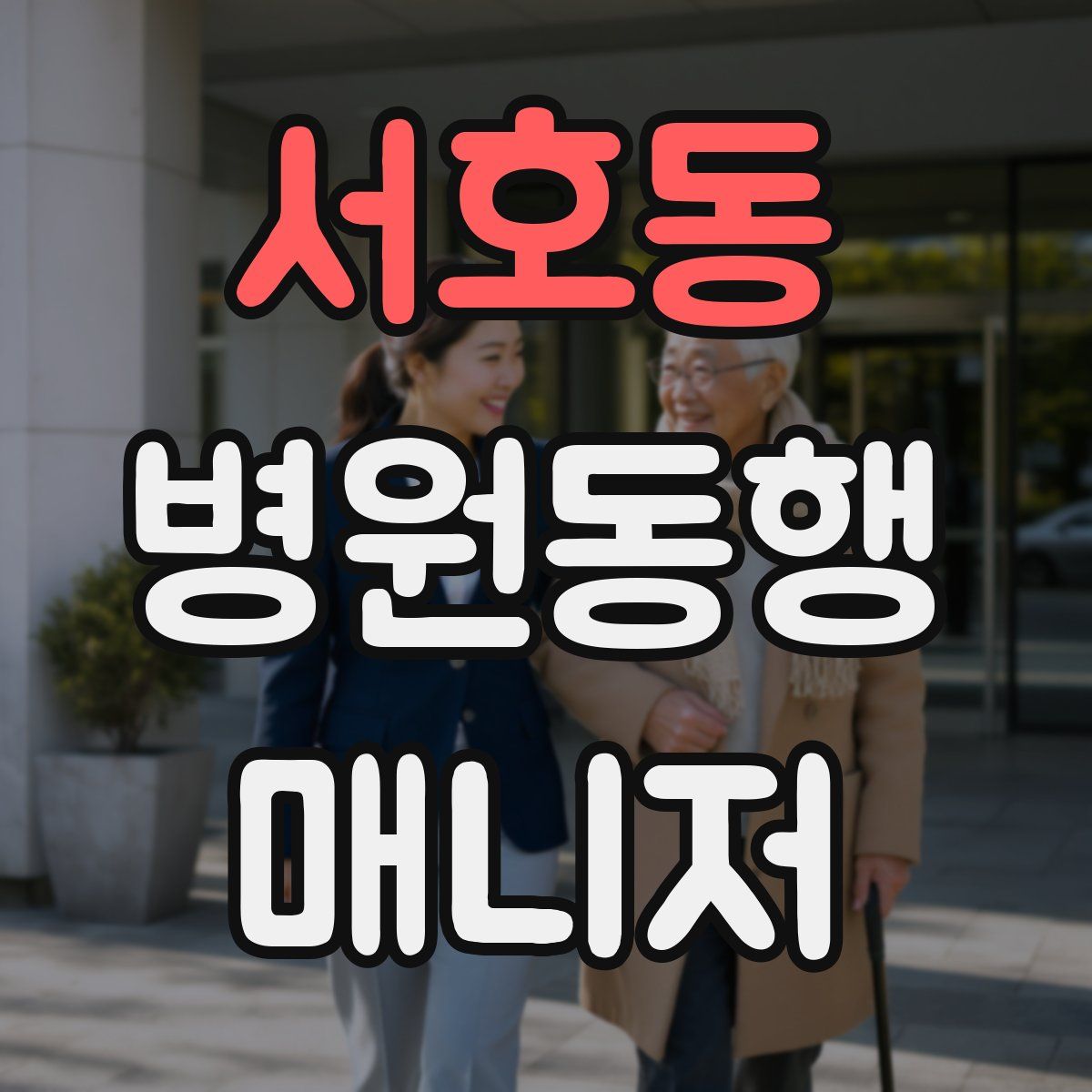서호동 병원동행매니저 자격증