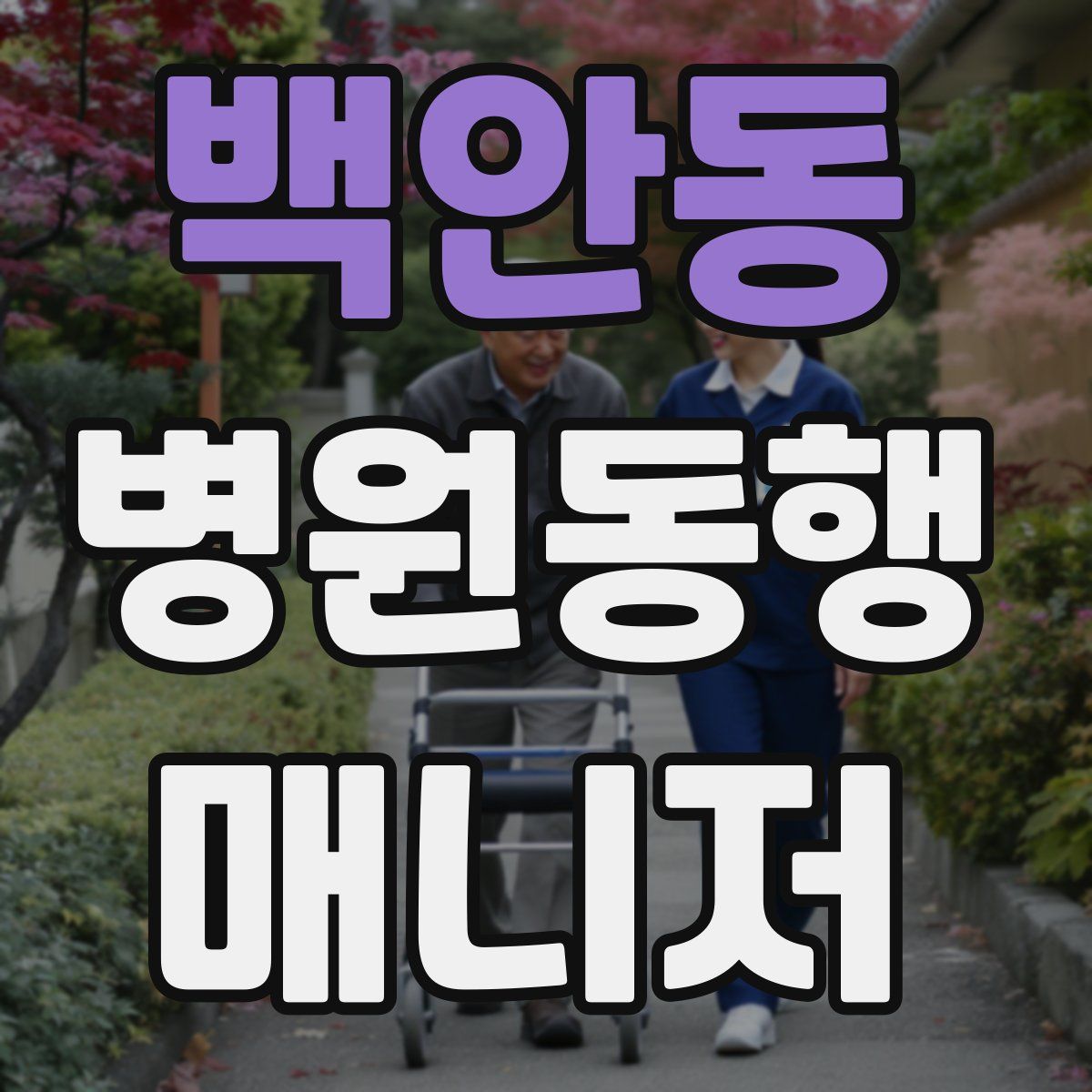 백안동 병원동행매니저 자격증