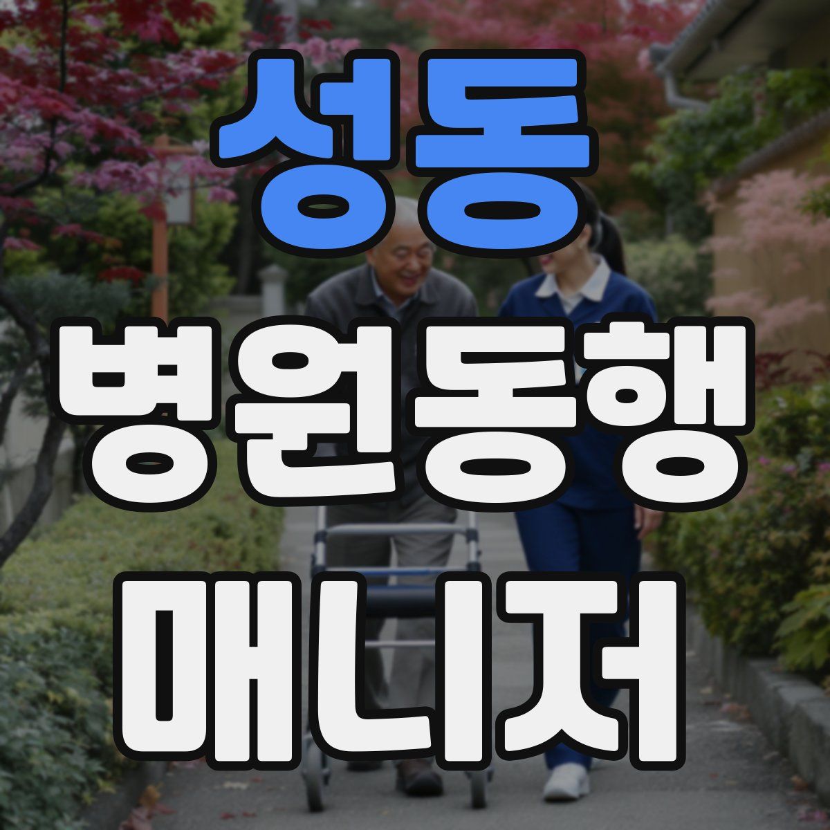 성동 병원동행매니저 자격증