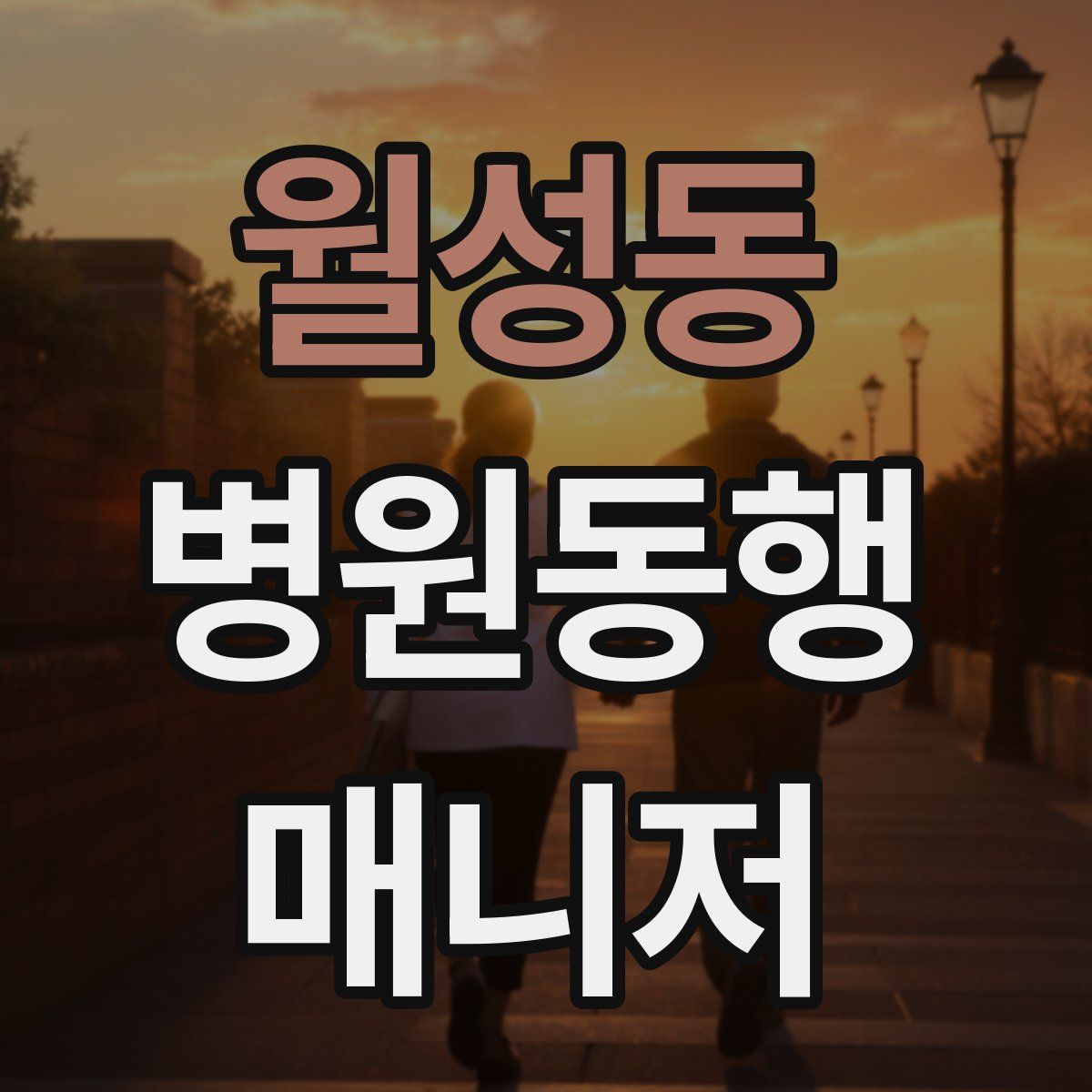 월성동 병원동행매니저 자격증