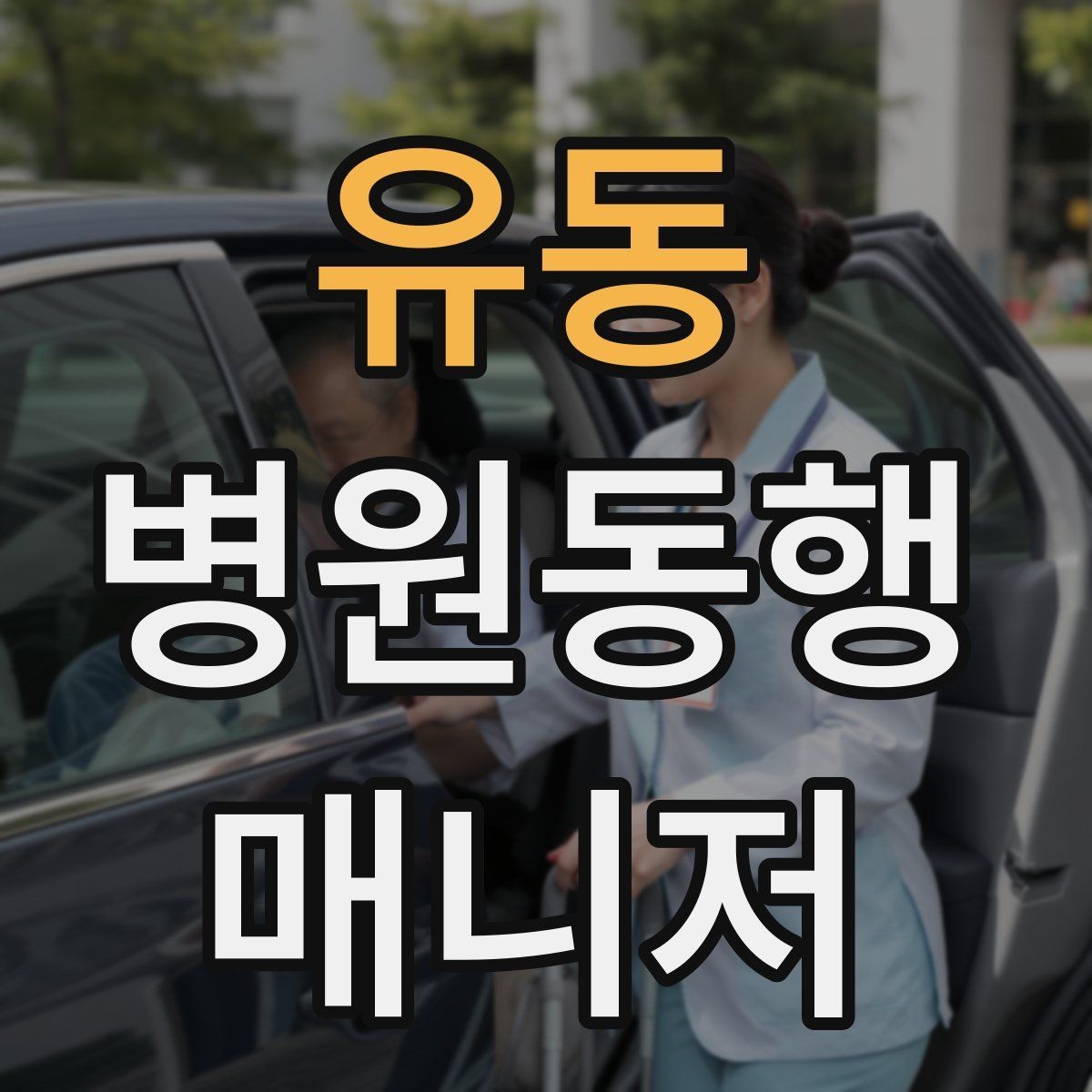 유동 병원동행매니저 자격증 서비스 범위 문구를 깔끔히 쓰는 방법