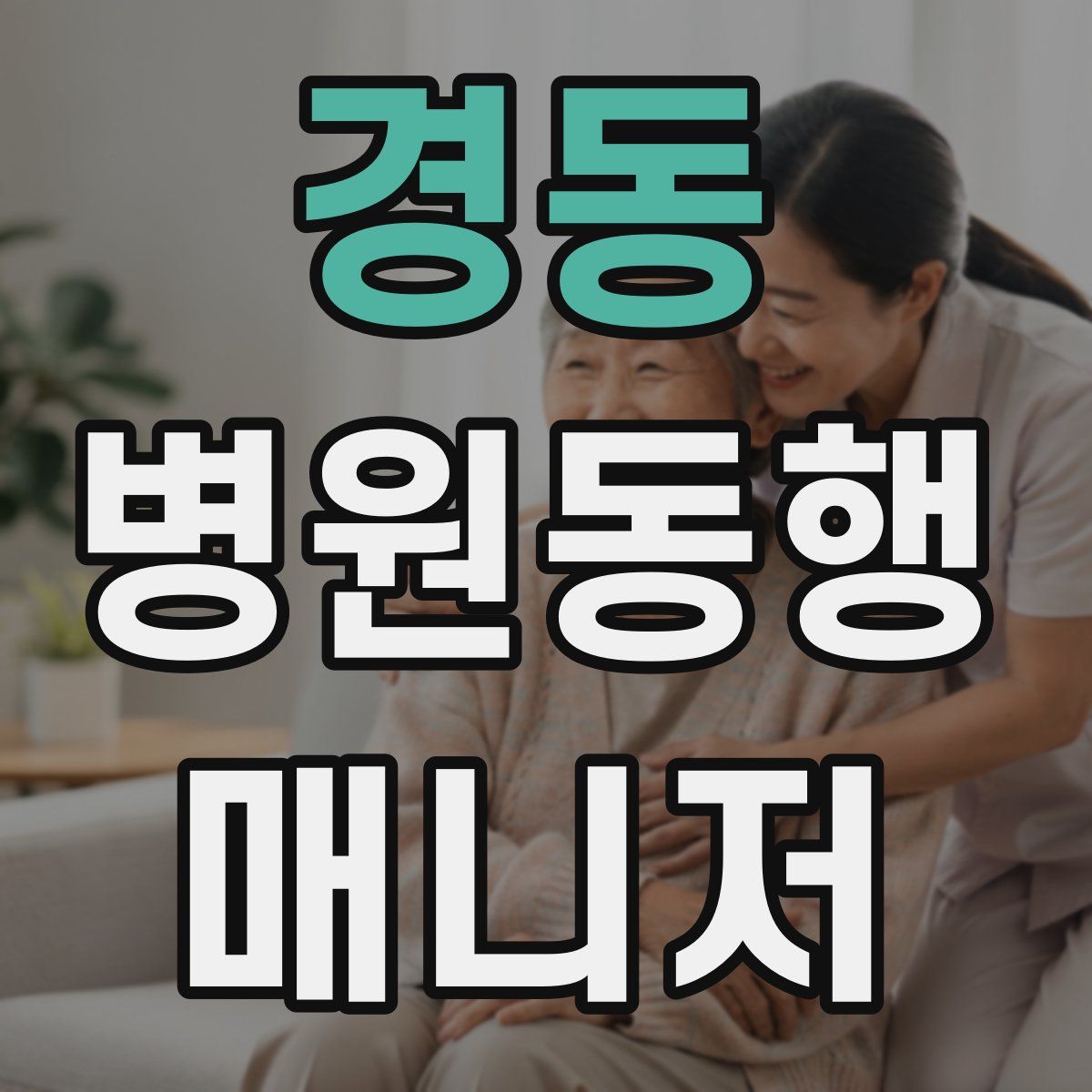 경동 병원동행매니저 자격증