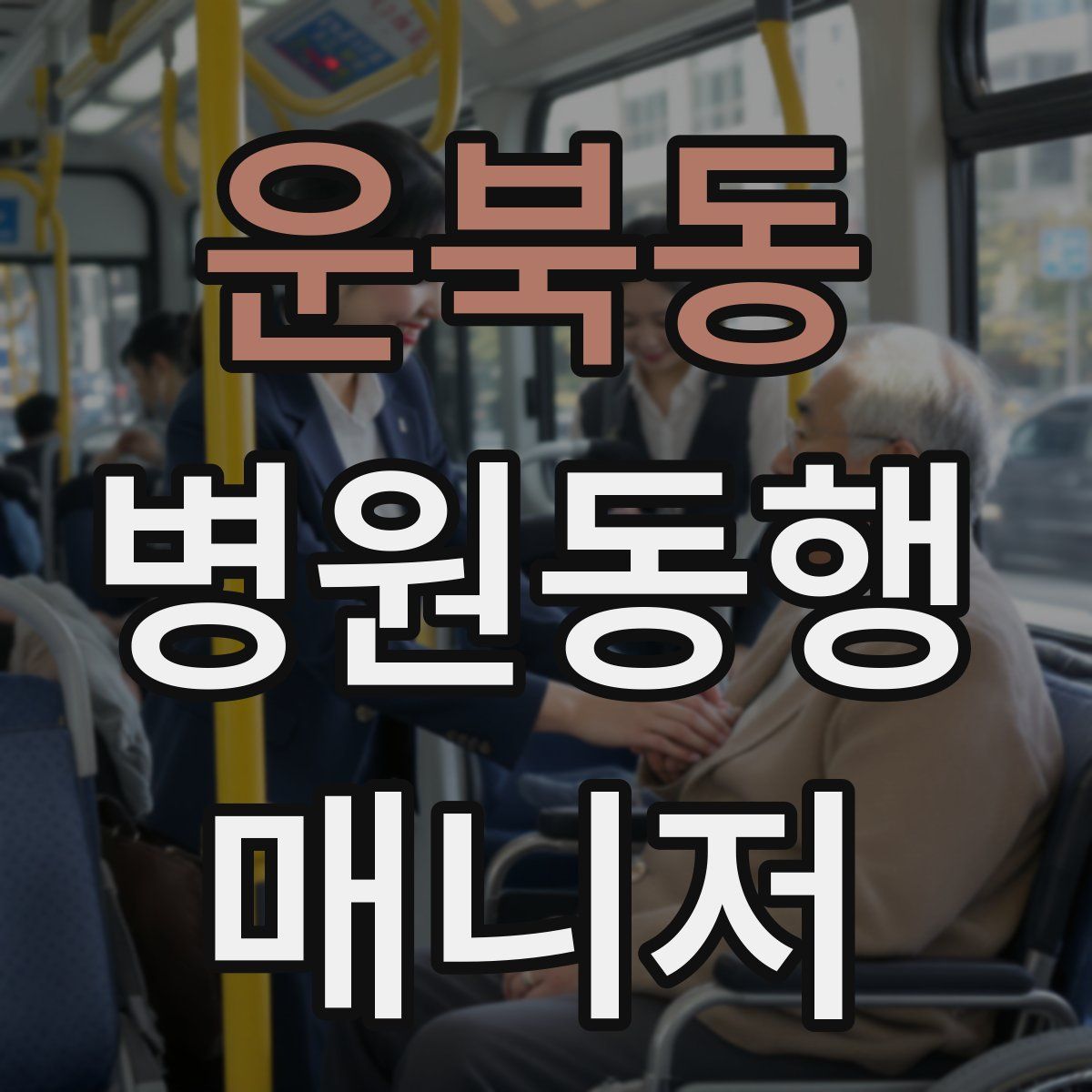 운북동 병원동행매니저 자격증