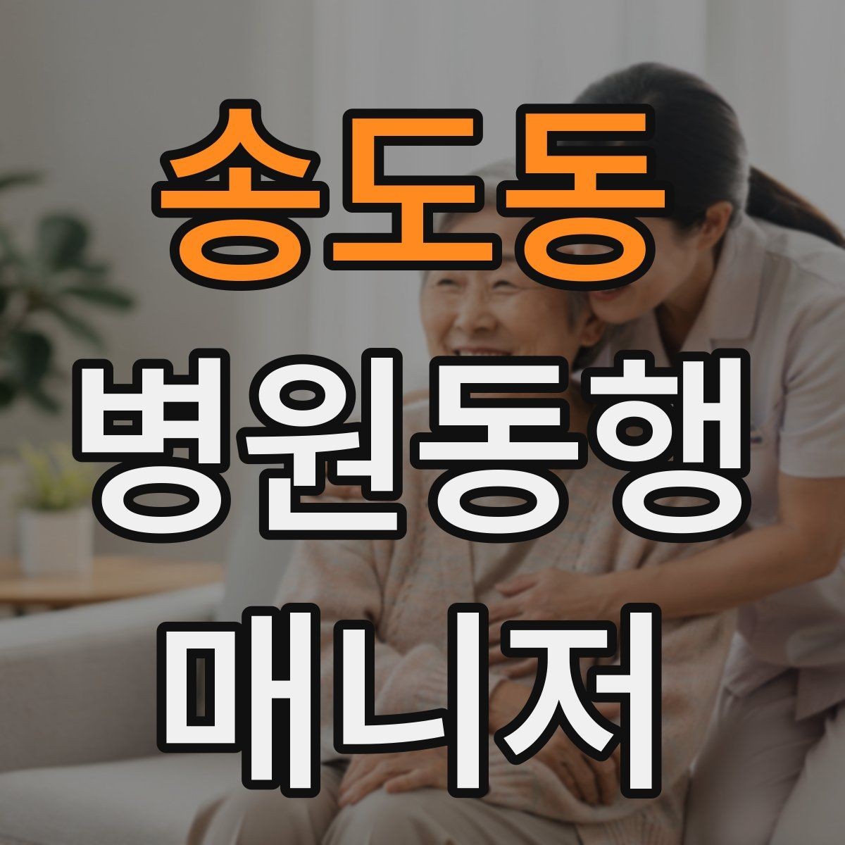 송도동 병원동행매니저 자격증 의료행위와 구분해야 하는 이유
