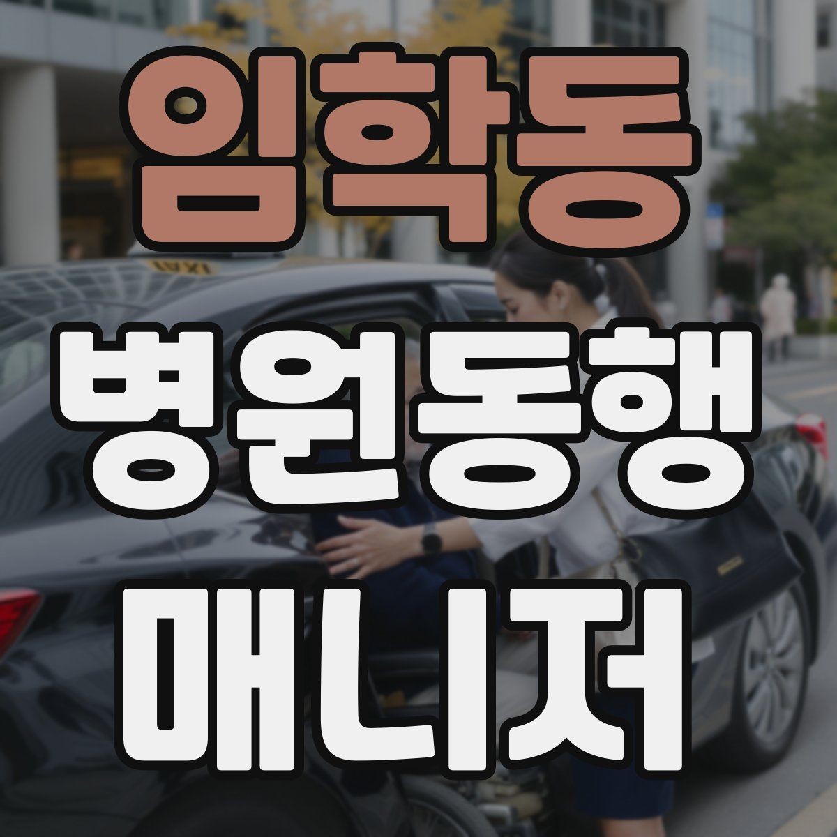 임학동 병원동행매니저 자격증 한 번에 이해하는 동행업무 핵심 정리