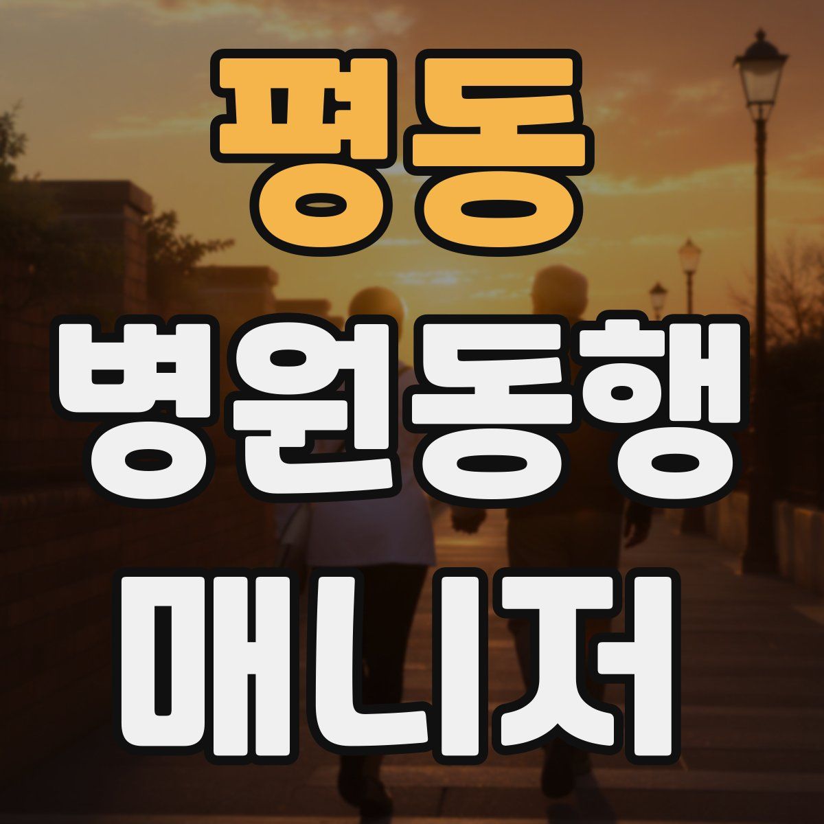 평동 병원동행매니저 자격증