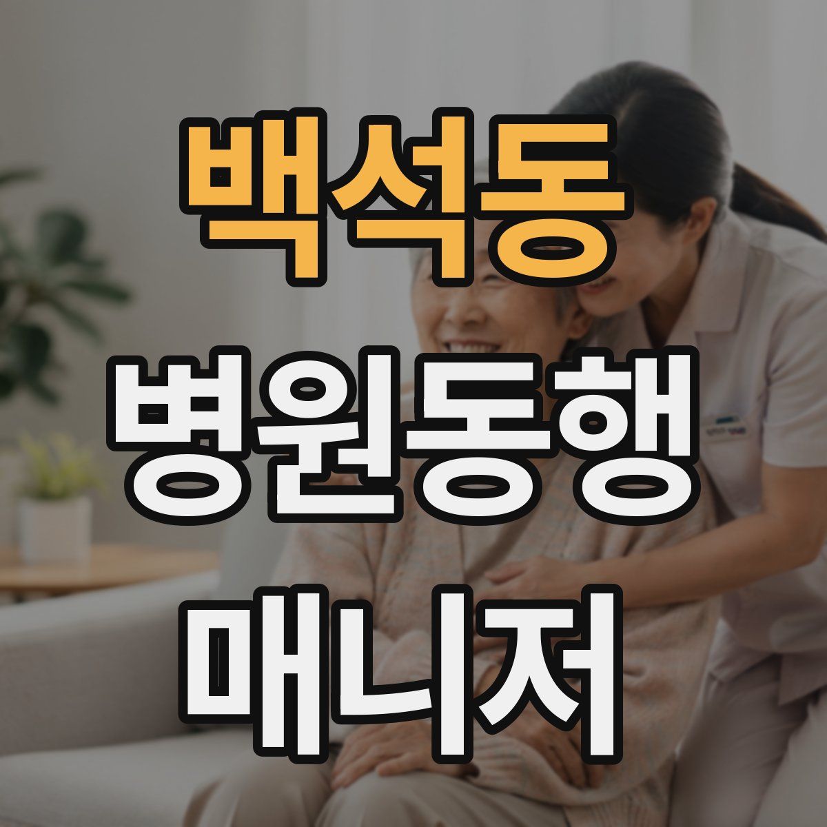 백석동 병원동행매니저 자격증