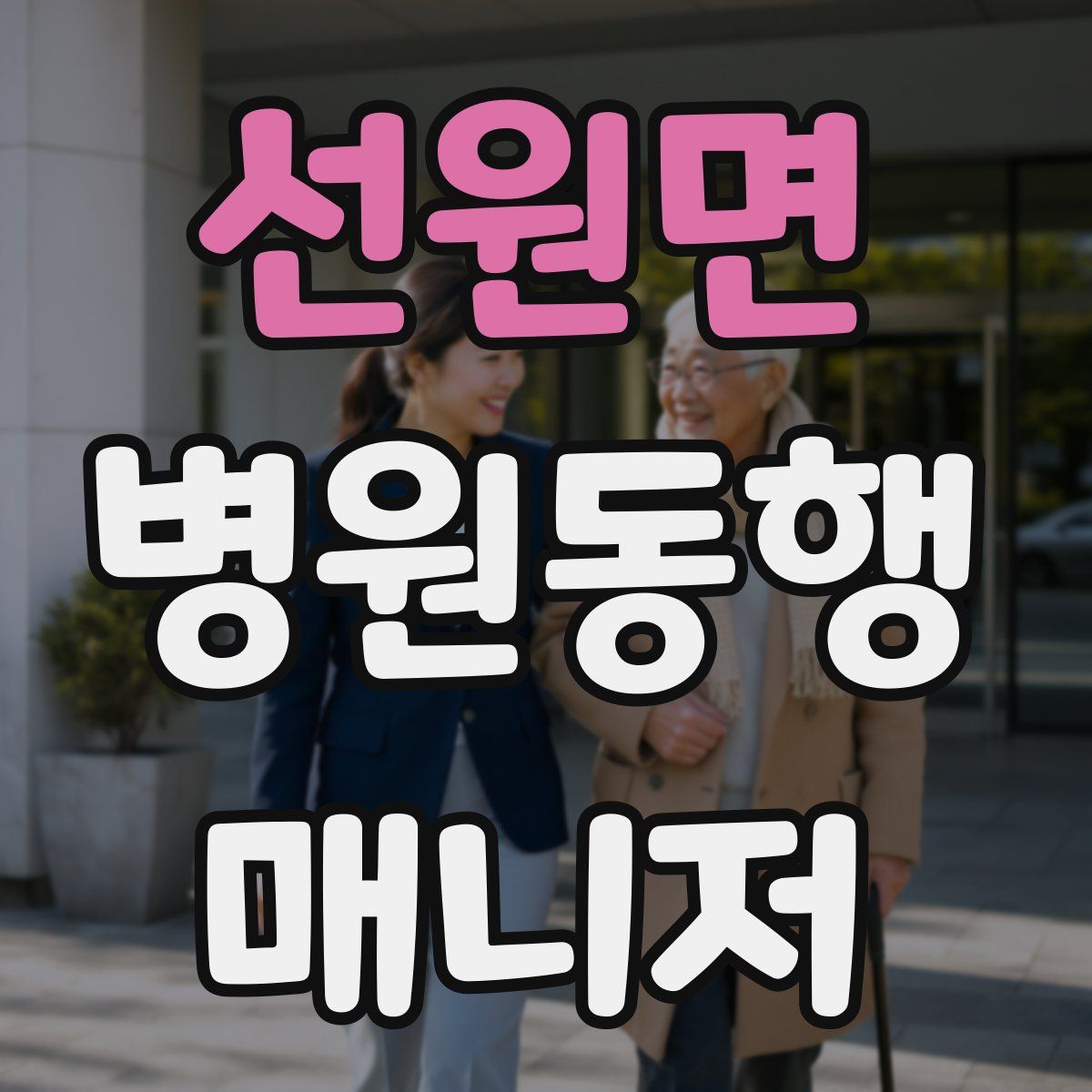 선원면 병원동행매니저 자격증