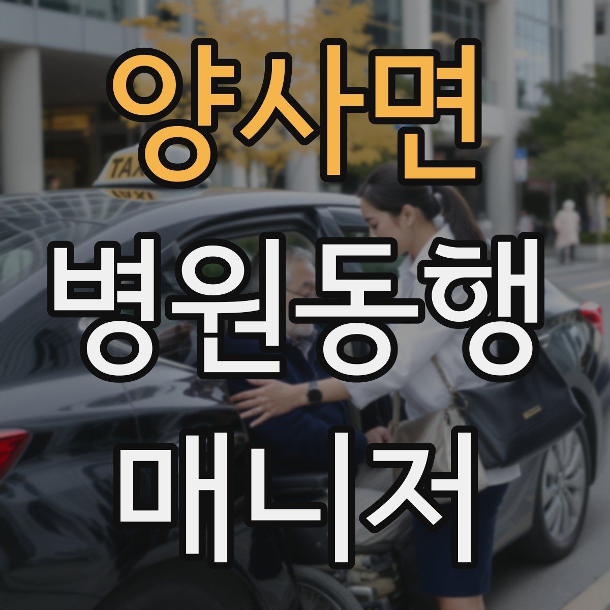 양사면 병원동행매니저 자격증 동행 비용 안내를 투명하게 하는 기준