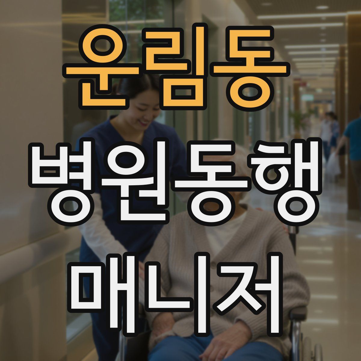 운림동 병원동행매니저 자격증