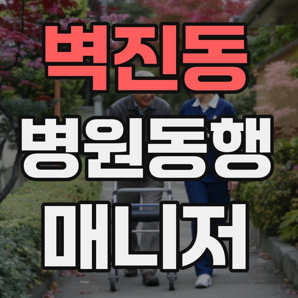 벽진동 병원동행매니저 자격증 재진 예약까지 연결하는 방법
