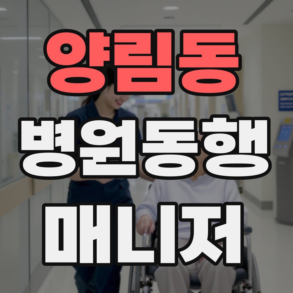 양림동 병원동행매니저 자격증