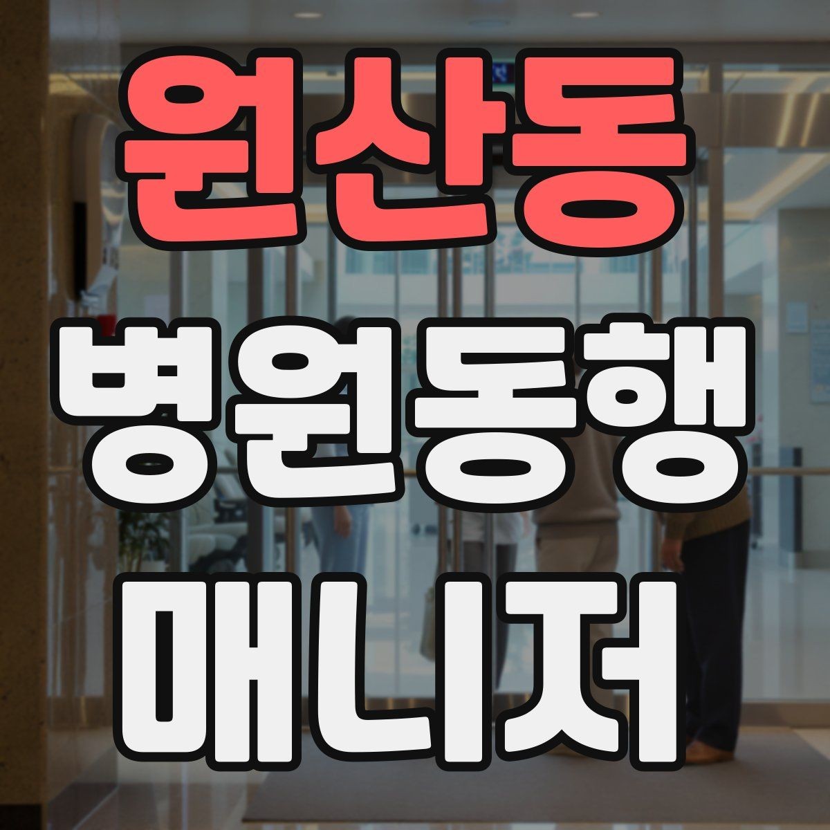 원산동 병원동행매니저 자격증 보호자 대신 동행할 때 중요한 원칙
