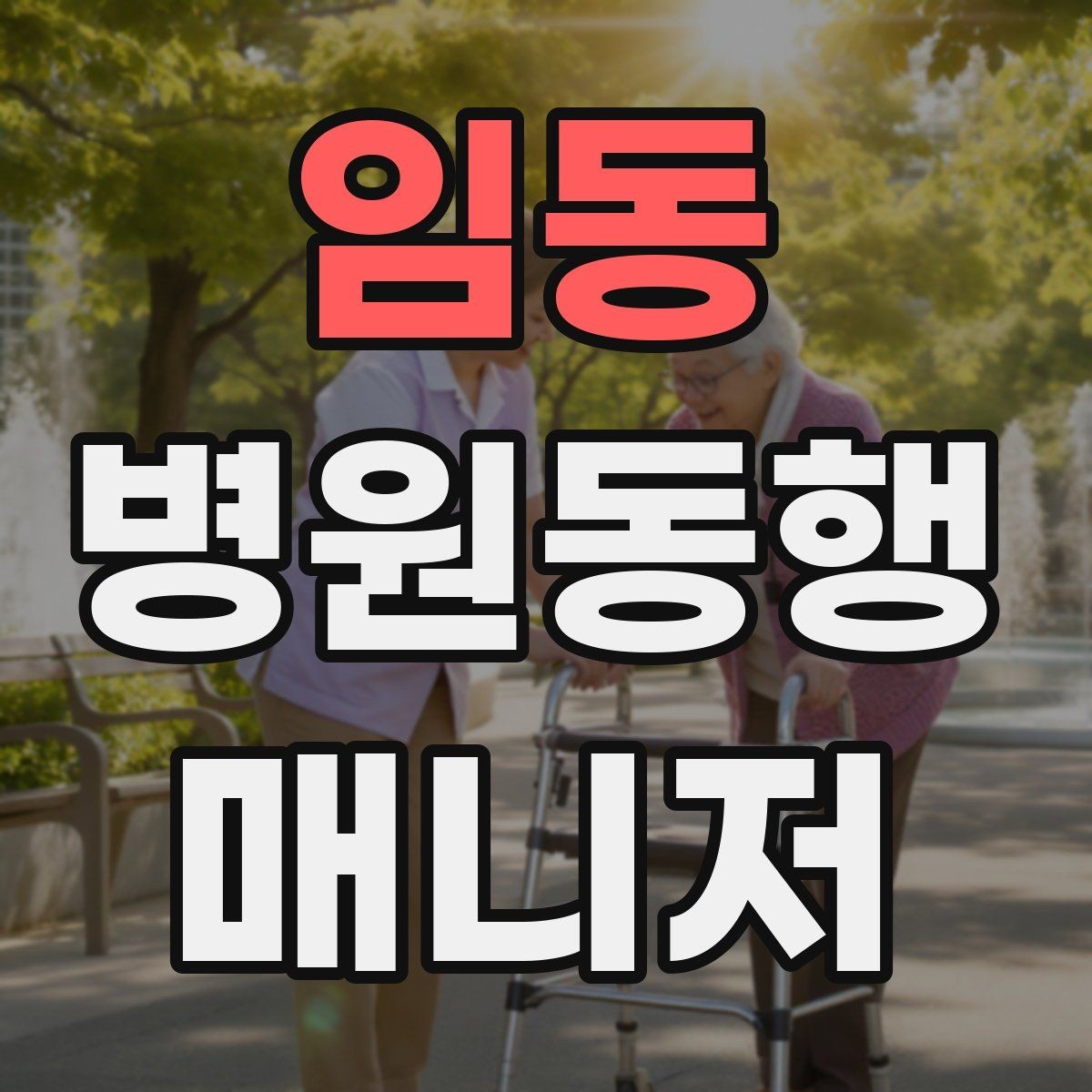 임동 병원동행매니저 자격증 단발성 동행과 정기 동행 차이
