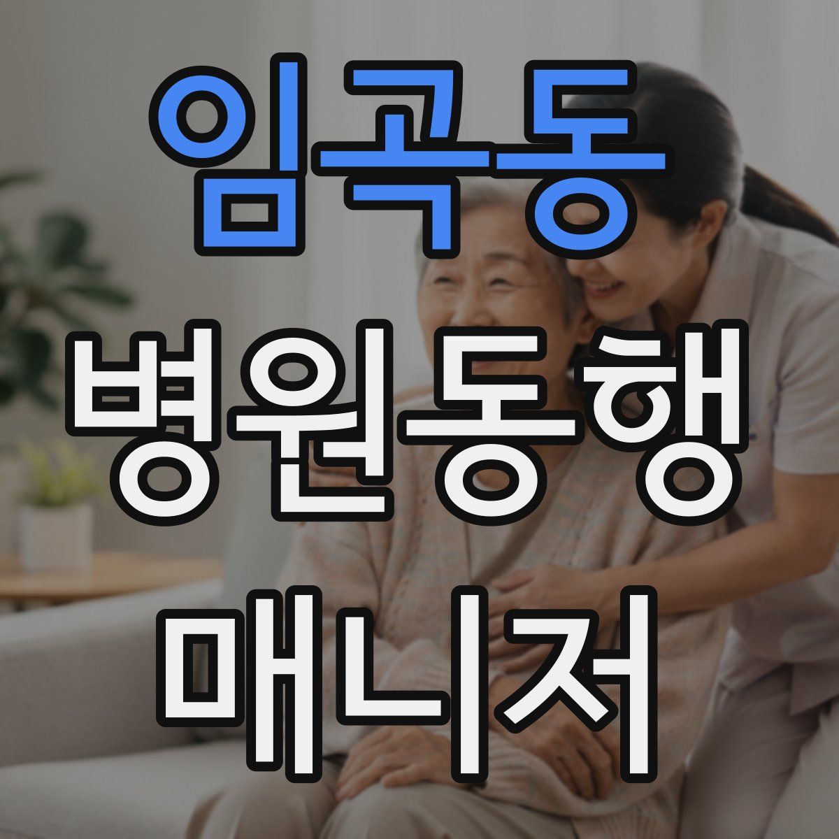임곡동 병원동행매니저 자격증