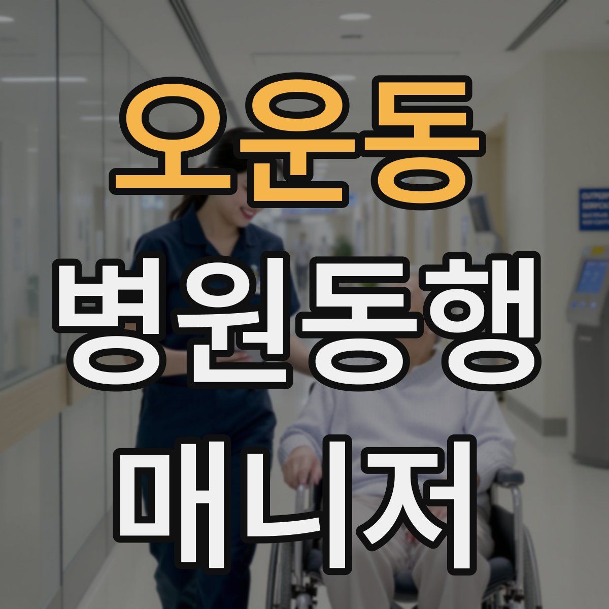 오운동 병원동행매니저 자격증