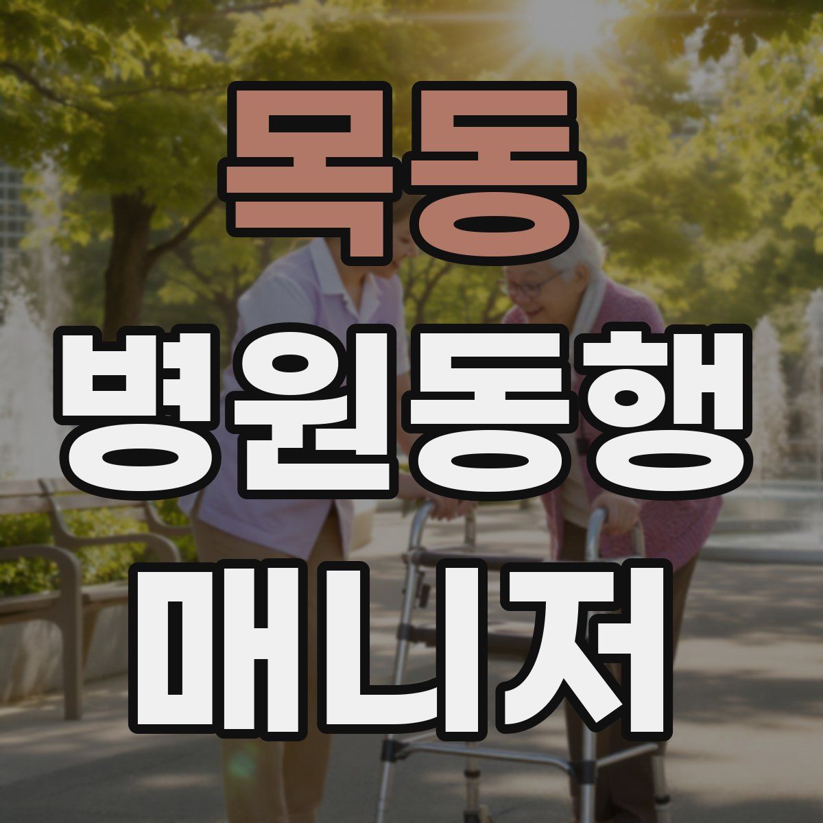 목동 병원동행매니저 자격증