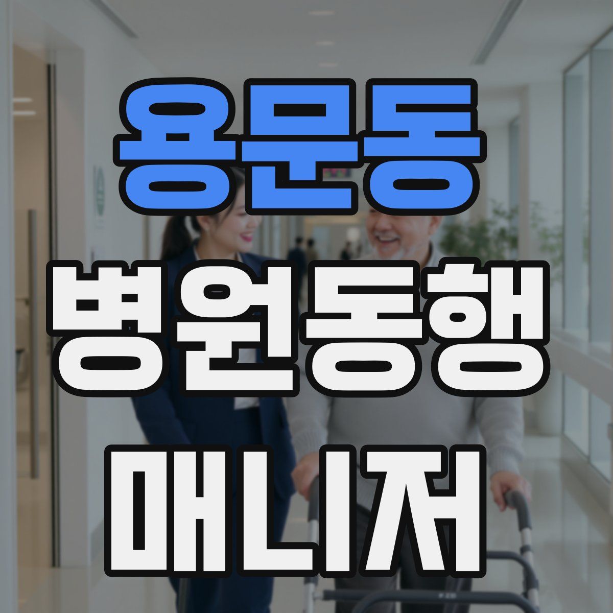 용문동 병원동행매니저 자격증