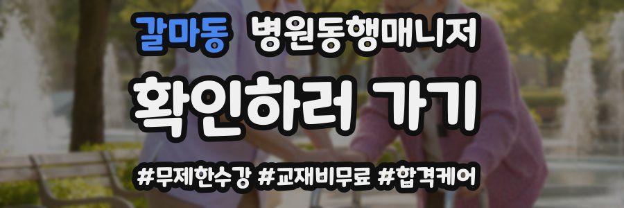 갈마동 병원동행매니저 자격증