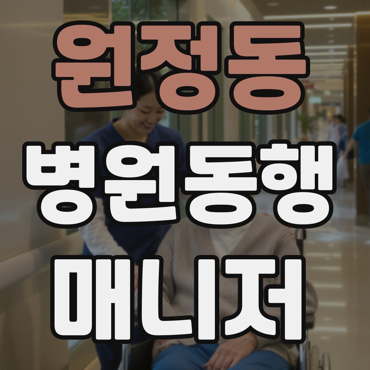 원정동 병원동행매니저 자격증