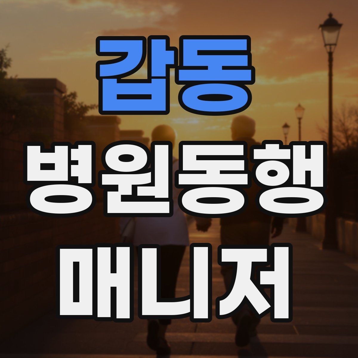 갑동 병원동행매니저 자격증