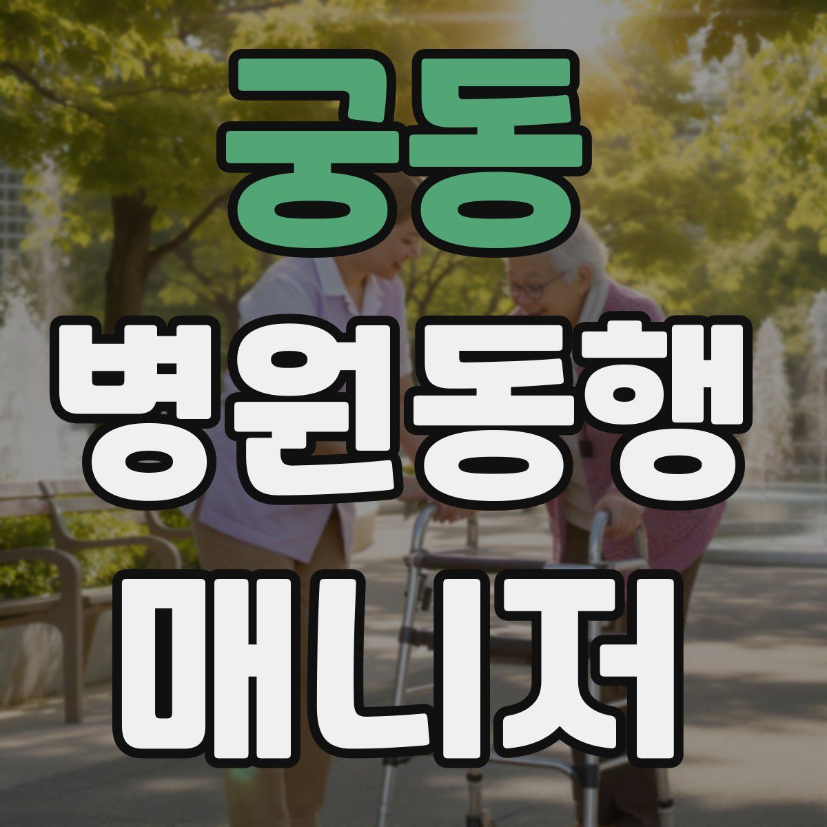 궁동 병원동행매니저 자격증