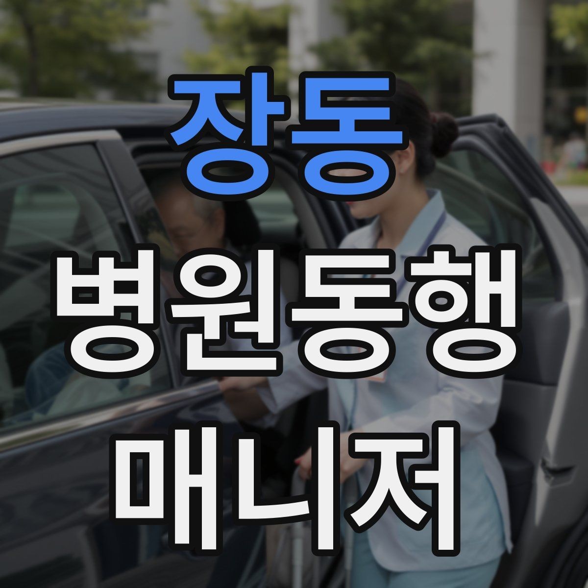 장동 병원동행매니저 자격증 휠체어 이용 고객 동행의 기본