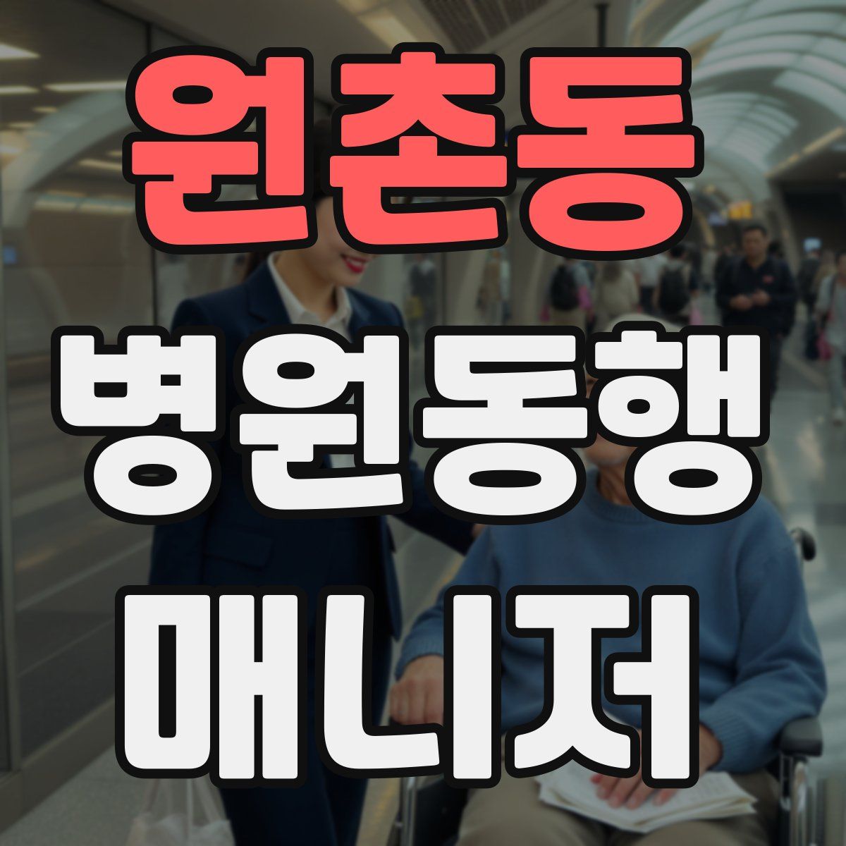 원촌동 병원동행매니저 자격증