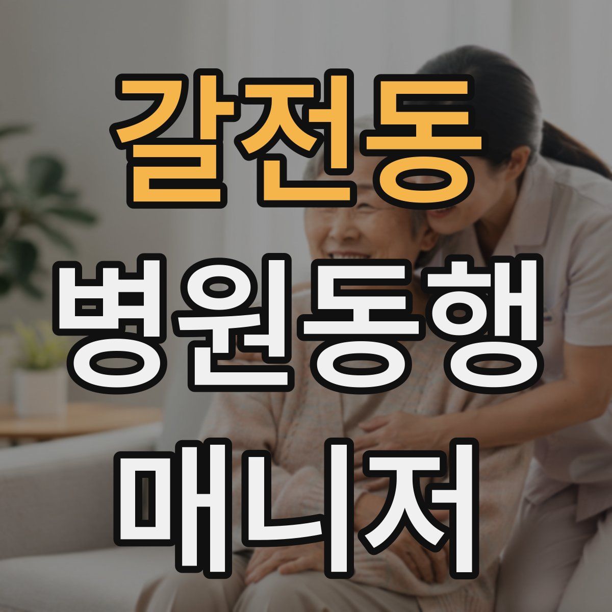 갈전동 병원동행매니저 자격증