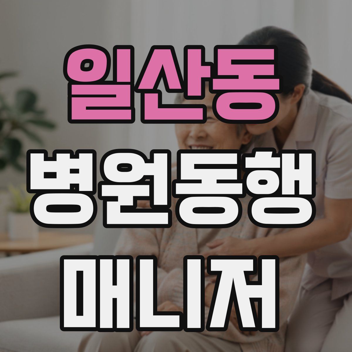 일산동 병원동행매니저 자격증