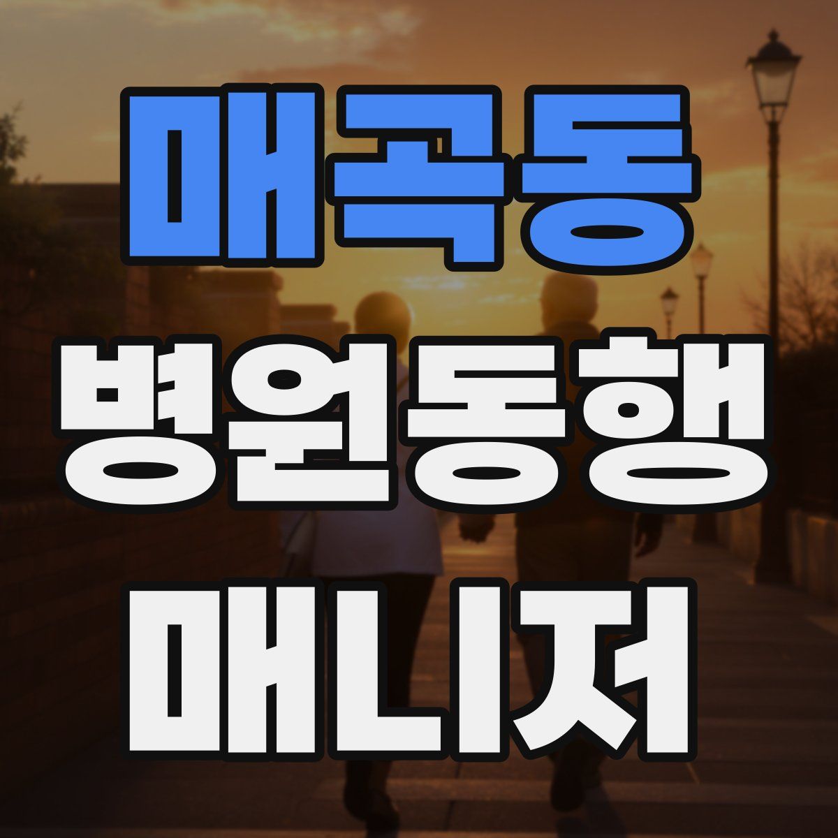 매곡동 병원동행매니저 자격증