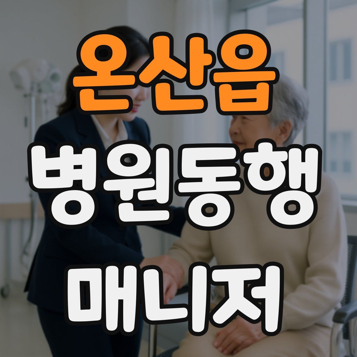 온산읍 병원동행매니저 자격증