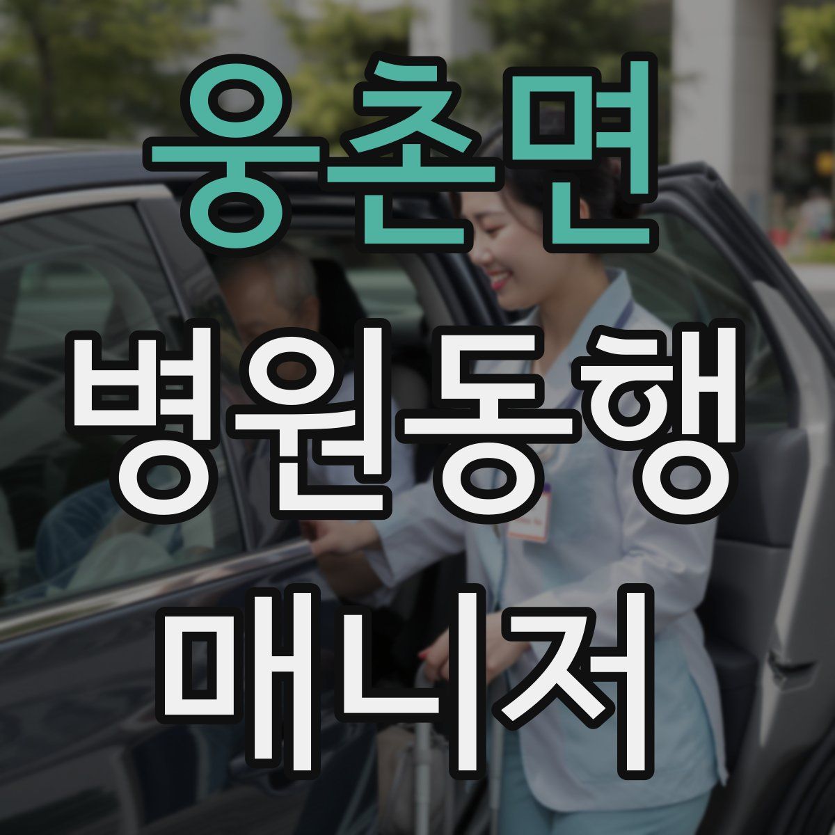 웅촌면 병원동행매니저 자격증