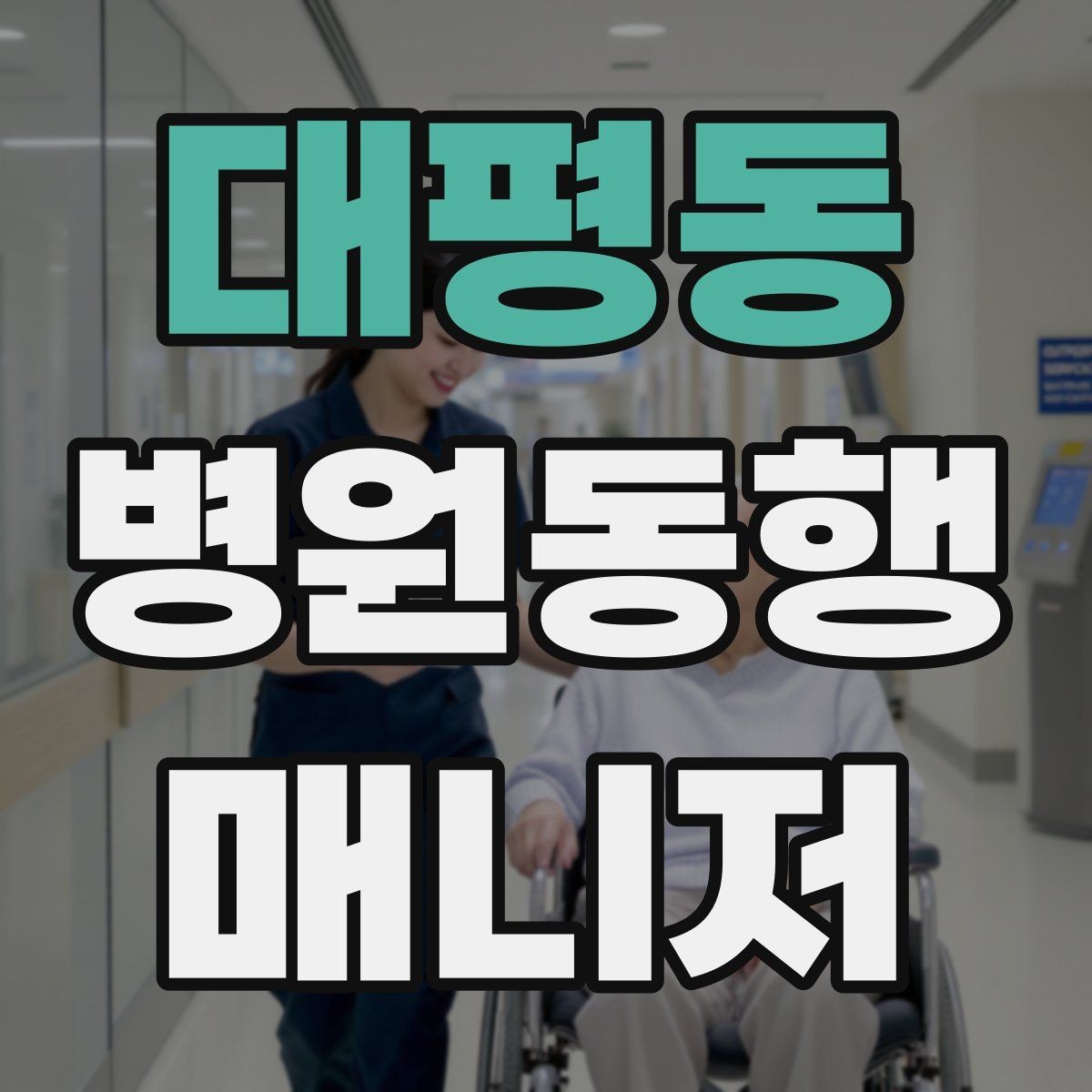 대평동 병원동행매니저 자격증 친절만으로는 부족한 이유와 전문성