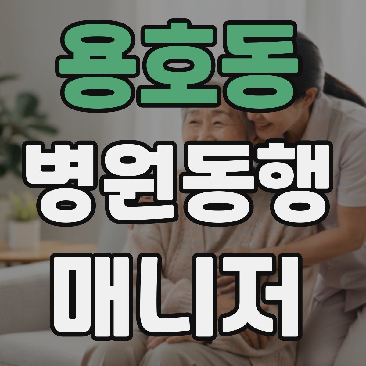 용호동 병원동행매니저 자격증