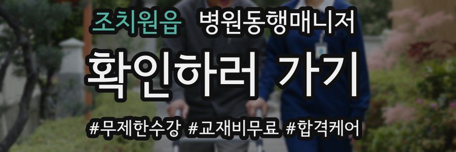 조치원읍 병원동행매니저 자격증