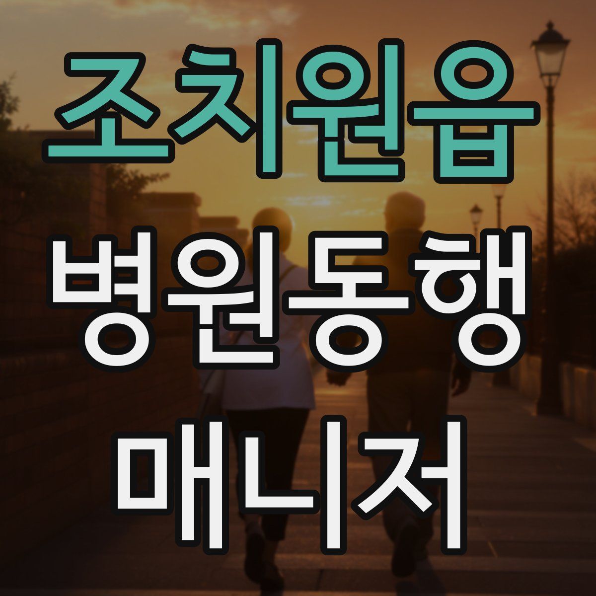 조치원읍 병원동행매니저 자격증