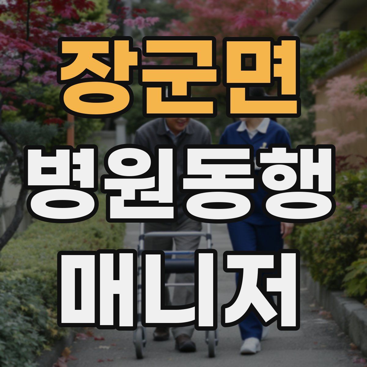 장군면 병원동행매니저 자격증