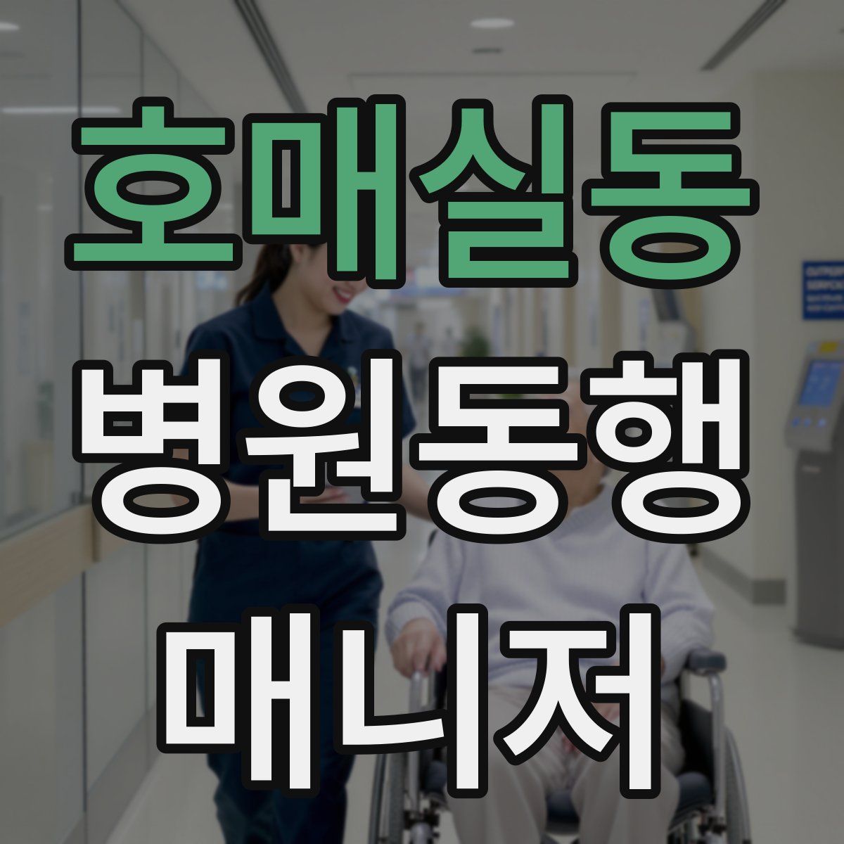 호매실동 병원동행매니저 자격증