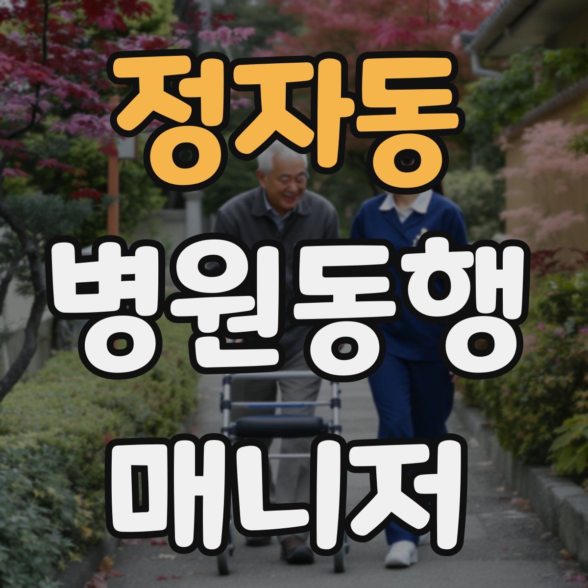 정자동 병원동행매니저 자격증