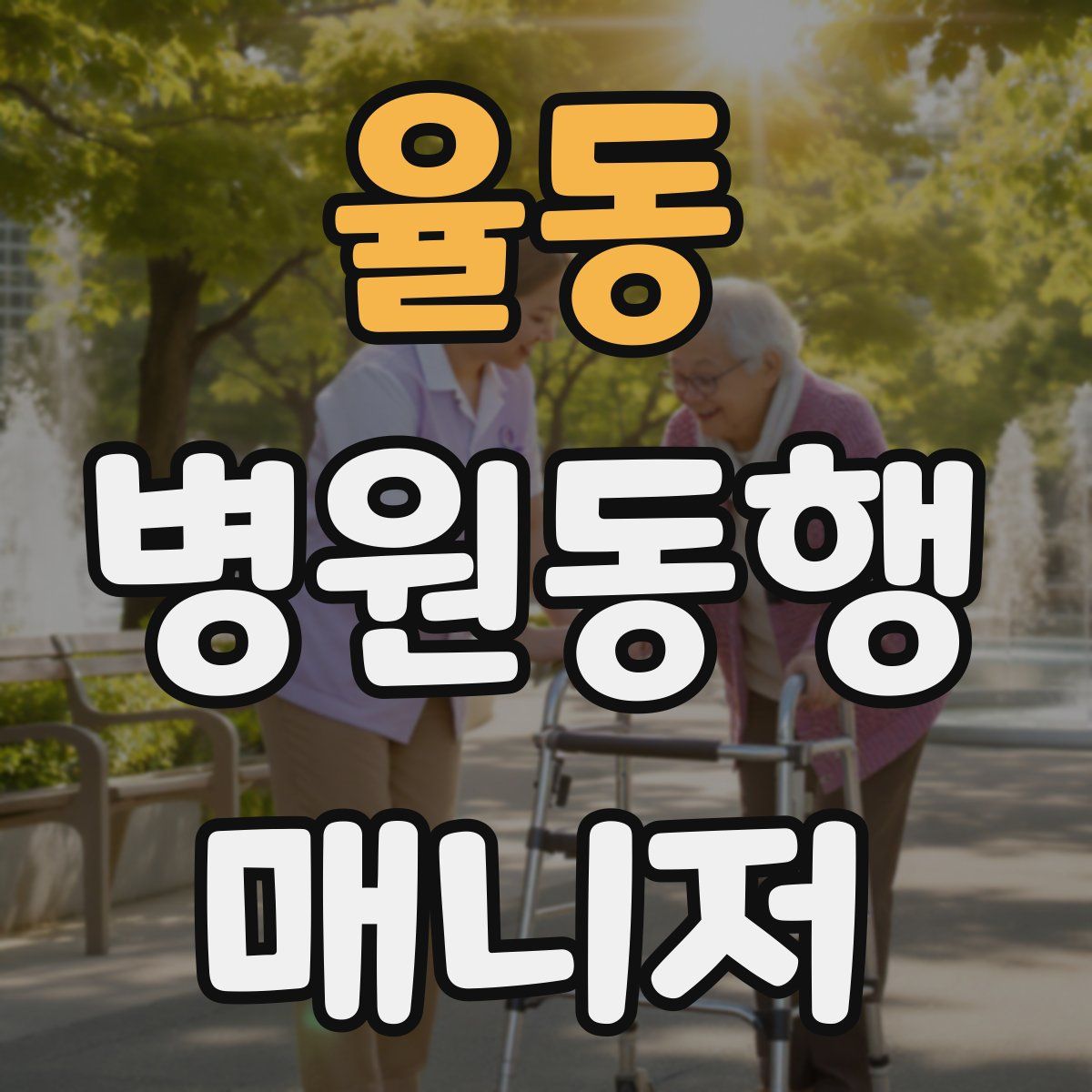 율동 병원동행매니저 자격증