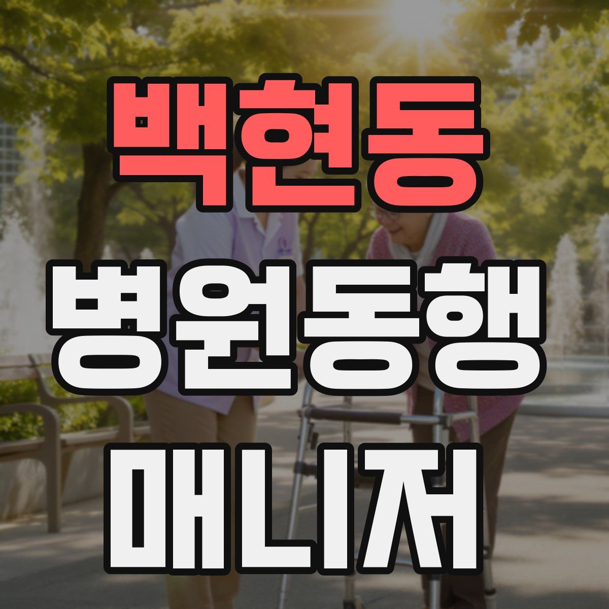 백현동 병원동행매니저 자격증