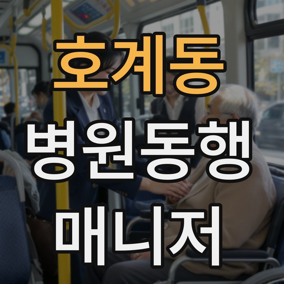 호계동 병원동행매니저 자격증